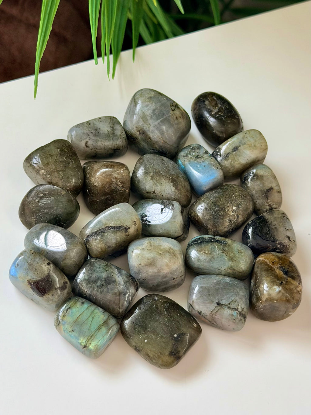 Labradorite Tumbled Stone