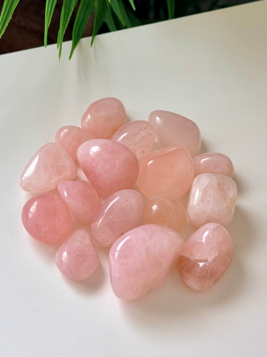 Rose Quartz Tumbled Stone
